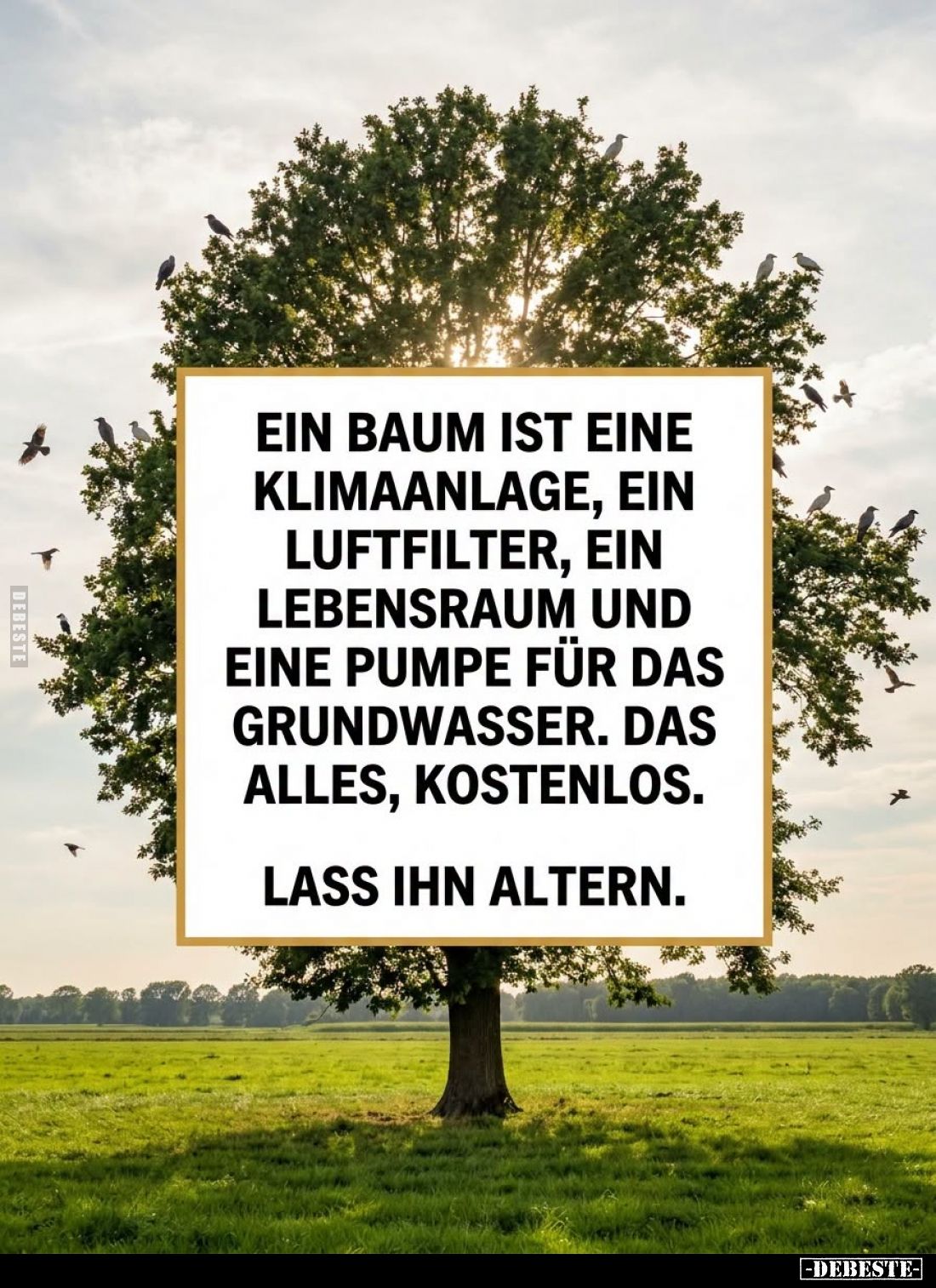 Ein Baum ist eine Klimaanlage, ein Luftfilter, ein Lebensraum und eine Pumpe für das Grundwasser.
Das alles, kostenlos.
Las...