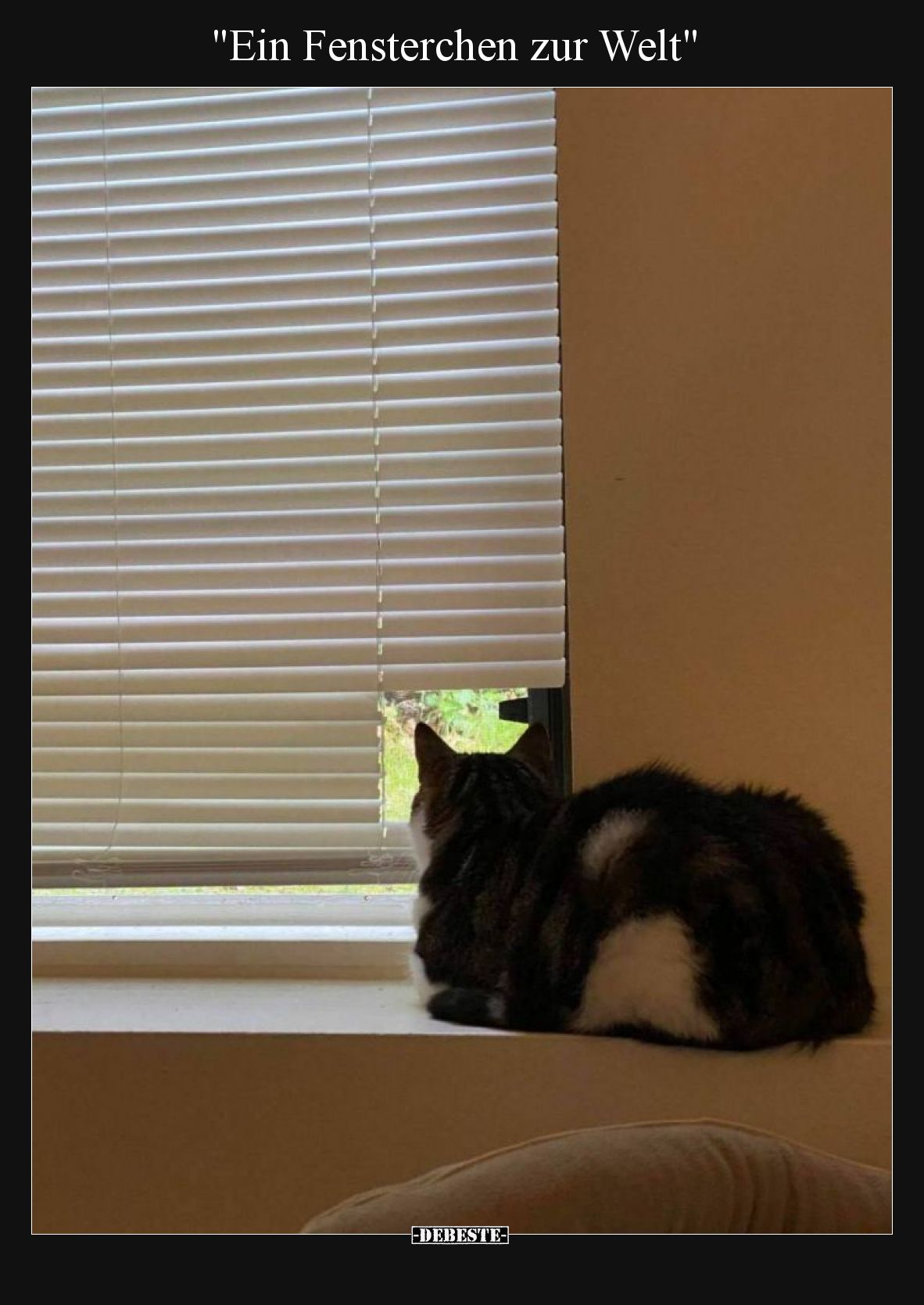 "Ein Fensterchen zur Welt"