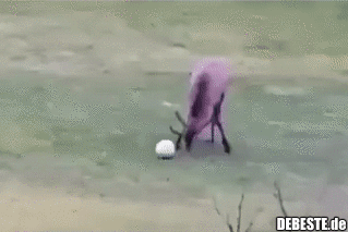 ☺ - Lustige Bilder | DEBESTE.de