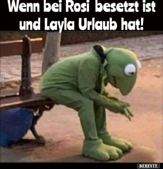 Wenn bei Rosi besetzt ist und Layla Urlaub hat!.. - Lustige Bilder | DEBESTE.de