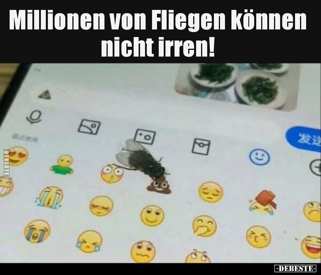 Millionen von Fliegen können nicht irren!..