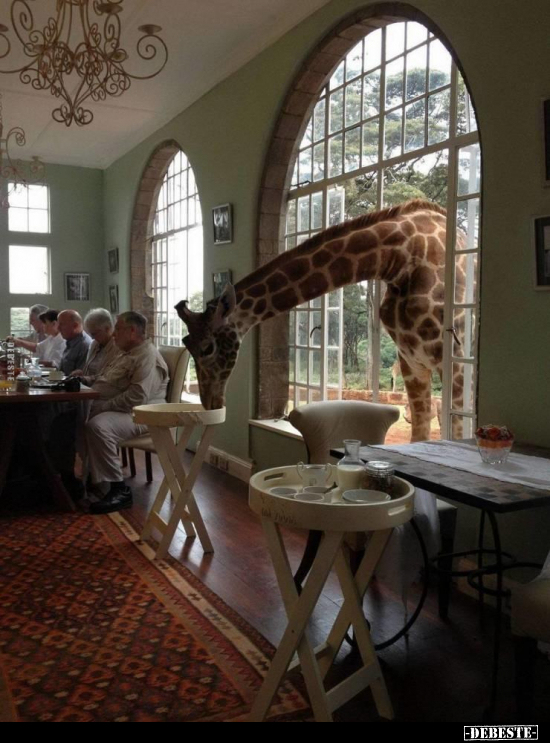  - Lustige Bilder | DEBESTE.de