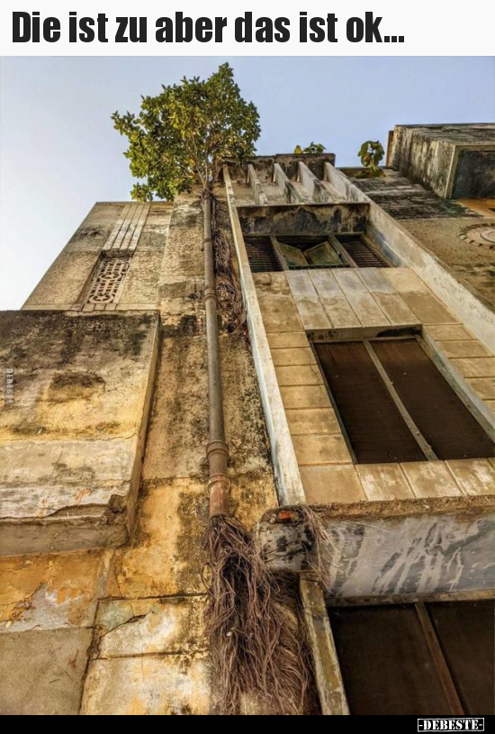 Die ist zu aber das ist ok