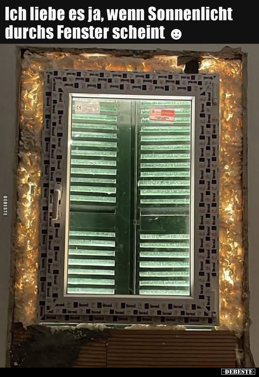 Ich liebe es ja, wenn Sonnenlicht durchs Fenster scheint.