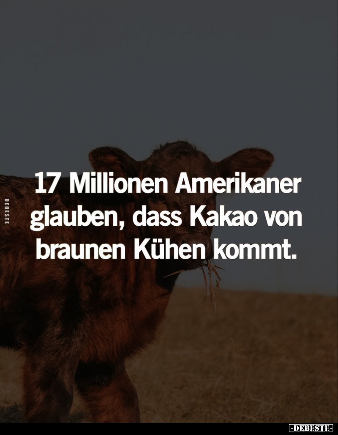 17 Millionen Amerikaner glauben.. - Lustige Bilder | DEBESTE.de