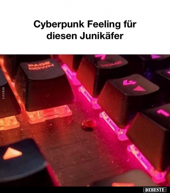 Cyberpunk Feeling für diesen Junikäfer.. - Lustige Bilder | DEBESTE.de