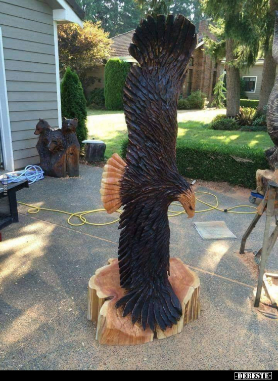  - Lustige Bilder | DEBESTE.de