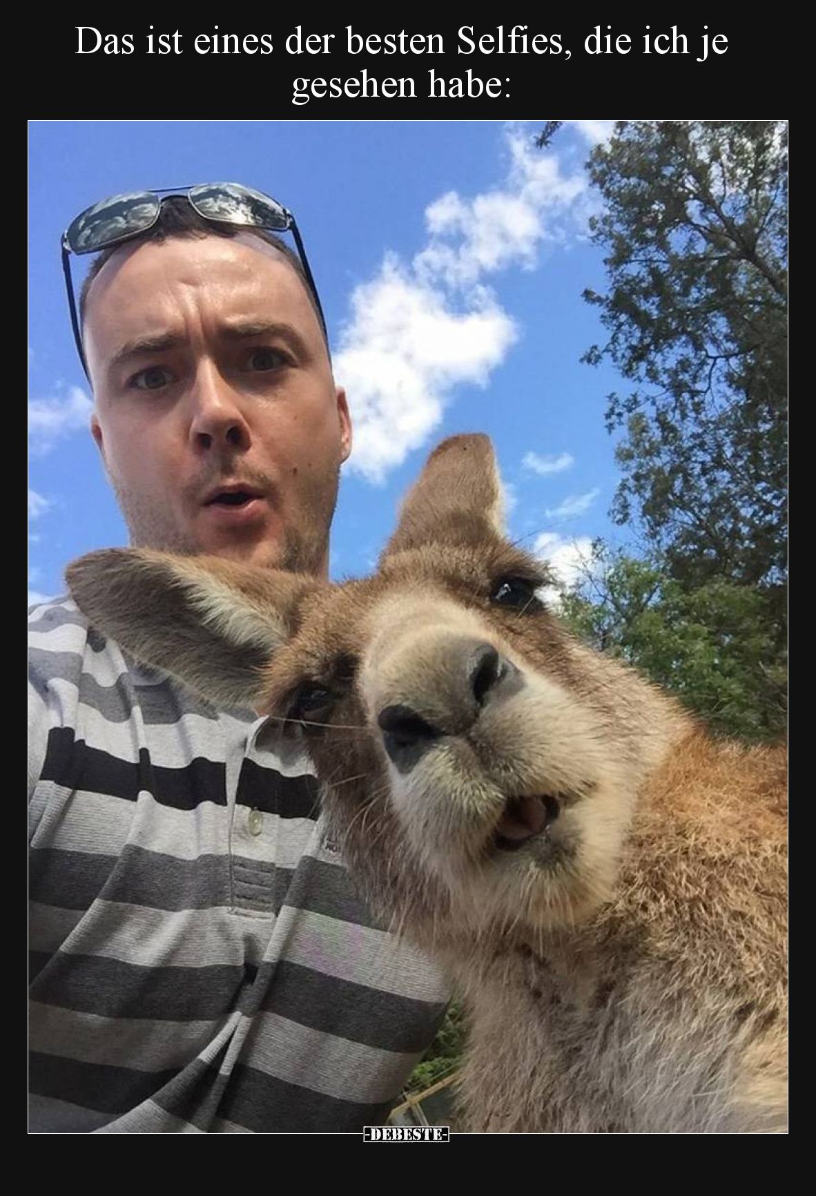 Das ist eines der besten Selfies, die ich je gesehen.. - Lustige Bilder | DEBESTE.de