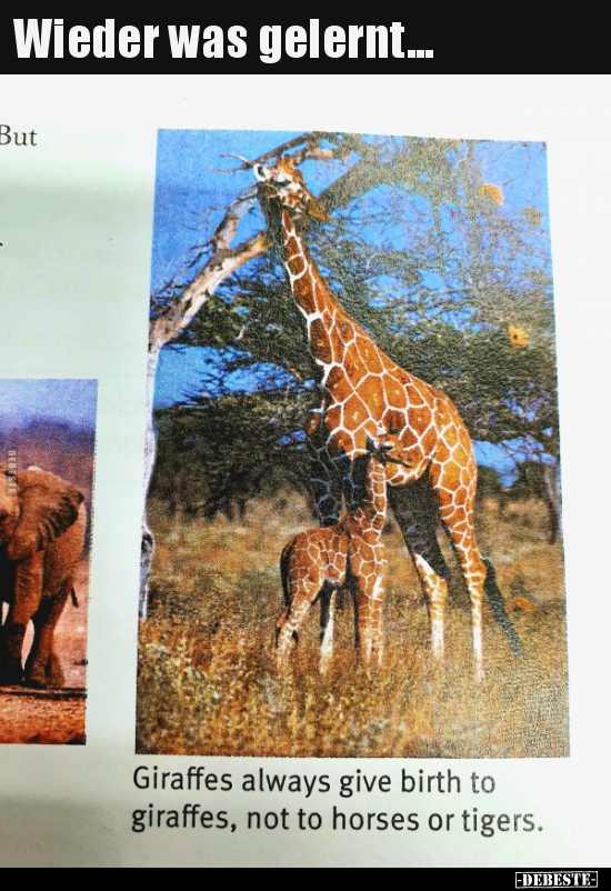 Wieder was gelernt...