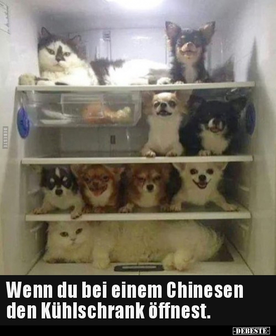 Wenn du bei einem Chinesen den Kühlschrank öffnest... - Lustige Bilder | DEBESTE.de