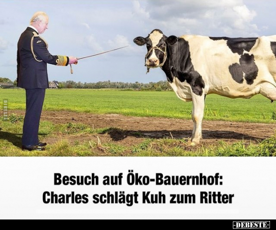 Besuch auf Öko-Bauernhof: Charles schlägt Kuh.. - Lustige Bilder | DEBESTE.de