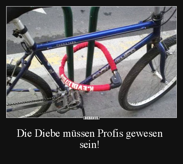 Die Diebe müssen Profis gewesen sein!