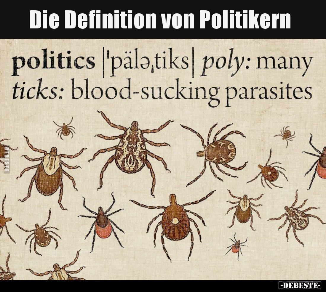 Die Definition von Politikern
