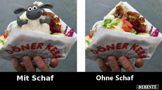 Mit Schaf / Ohne Schaf.