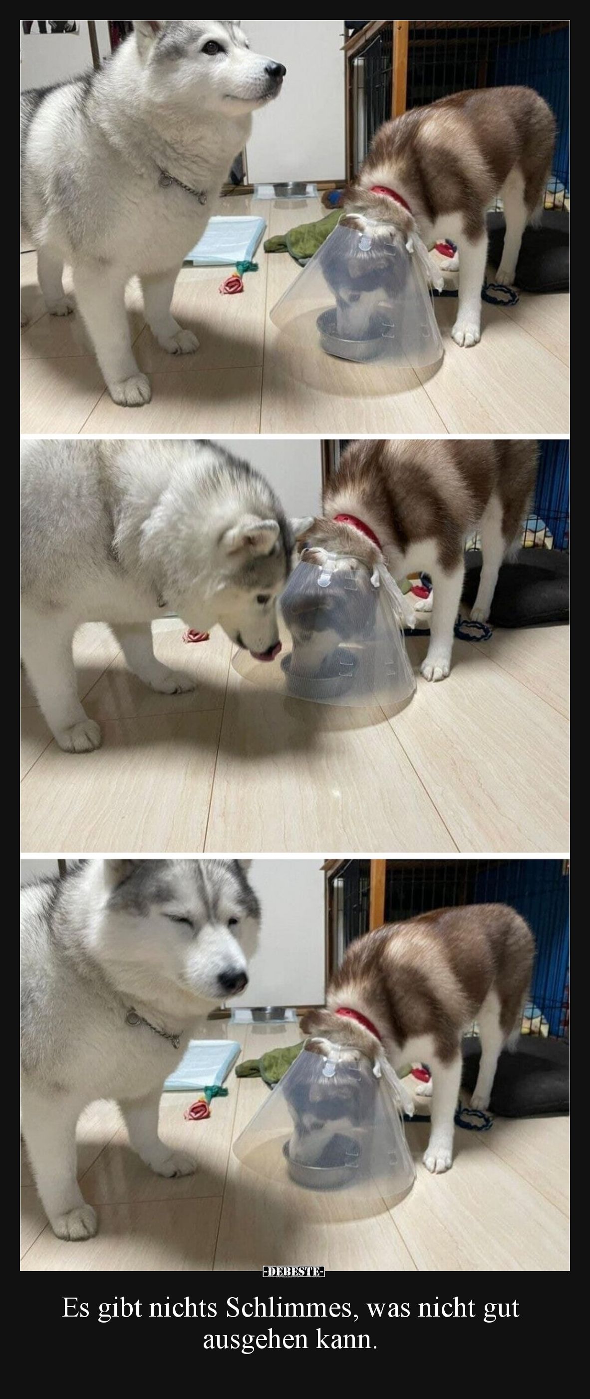 Es gibt nichts Schlimmes, was nicht gut ausgehen kann.