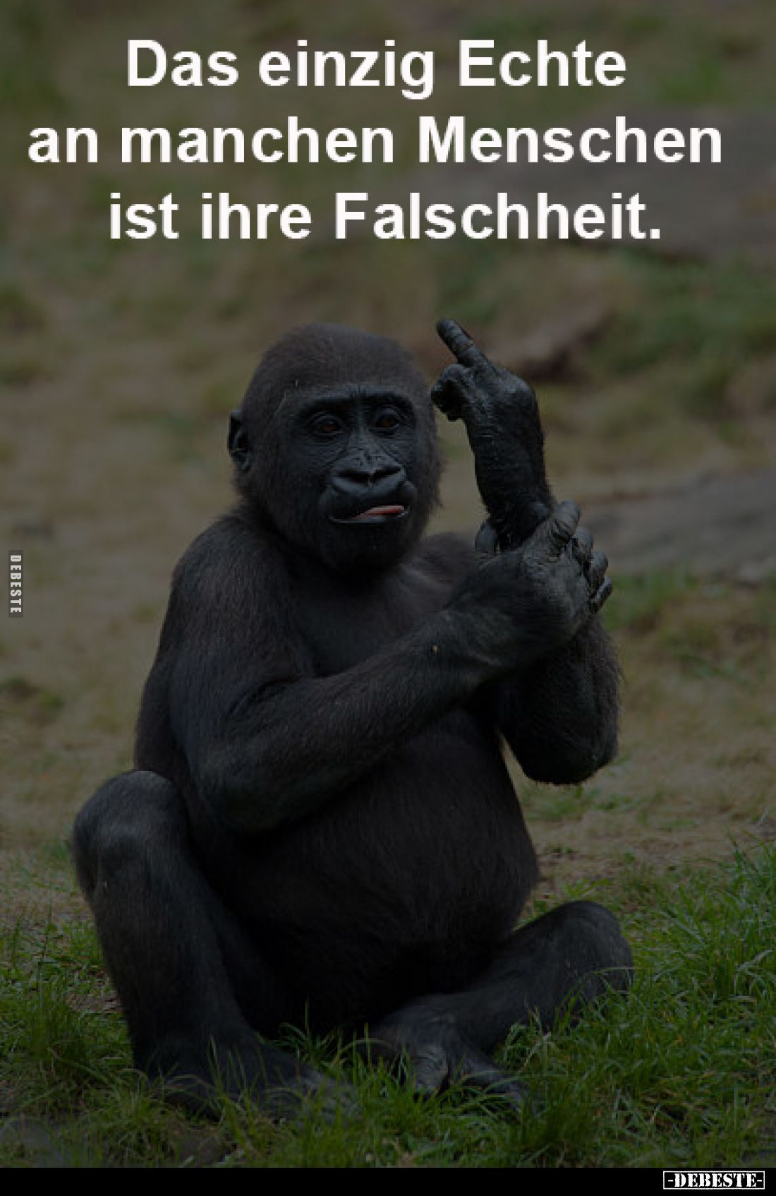 Das einzig Echte 
an manchen Menschen 
ist ihre Falschheit.