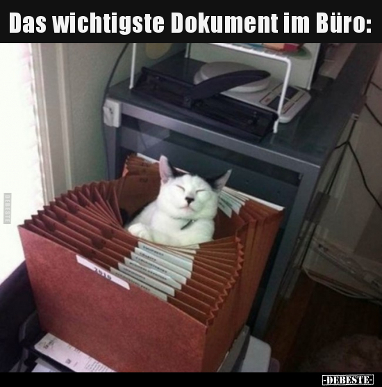Das wichtigste Dokument im Büro: