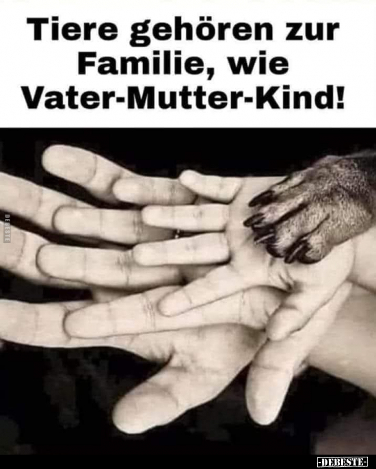 Tiere gehören zur Familie, wie Vater-Mutter-Kind!.. - Lustige Bilder | DEBESTE.de