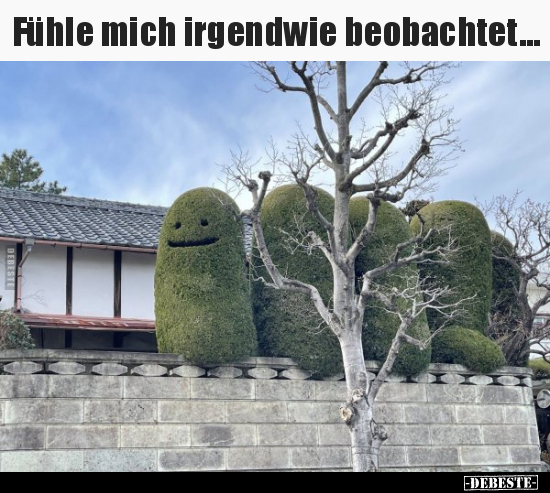 Fühle mich irgendwie beobachtet...