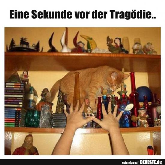 Eine Sekunde vor der Tragödie..