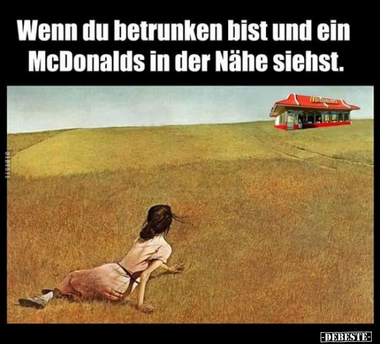 Wenn du betrunken bist und ein McDonalds.. - Lustige Bilder | DEBESTE.de