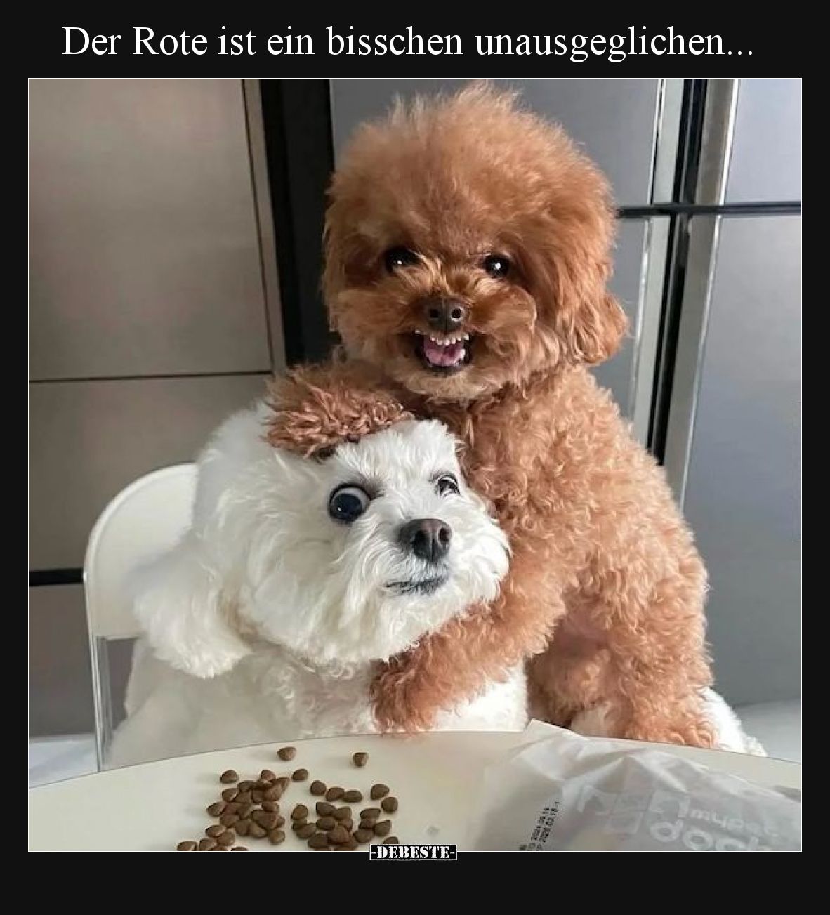 Der Rote ist ein bisschen unausgeglichen.