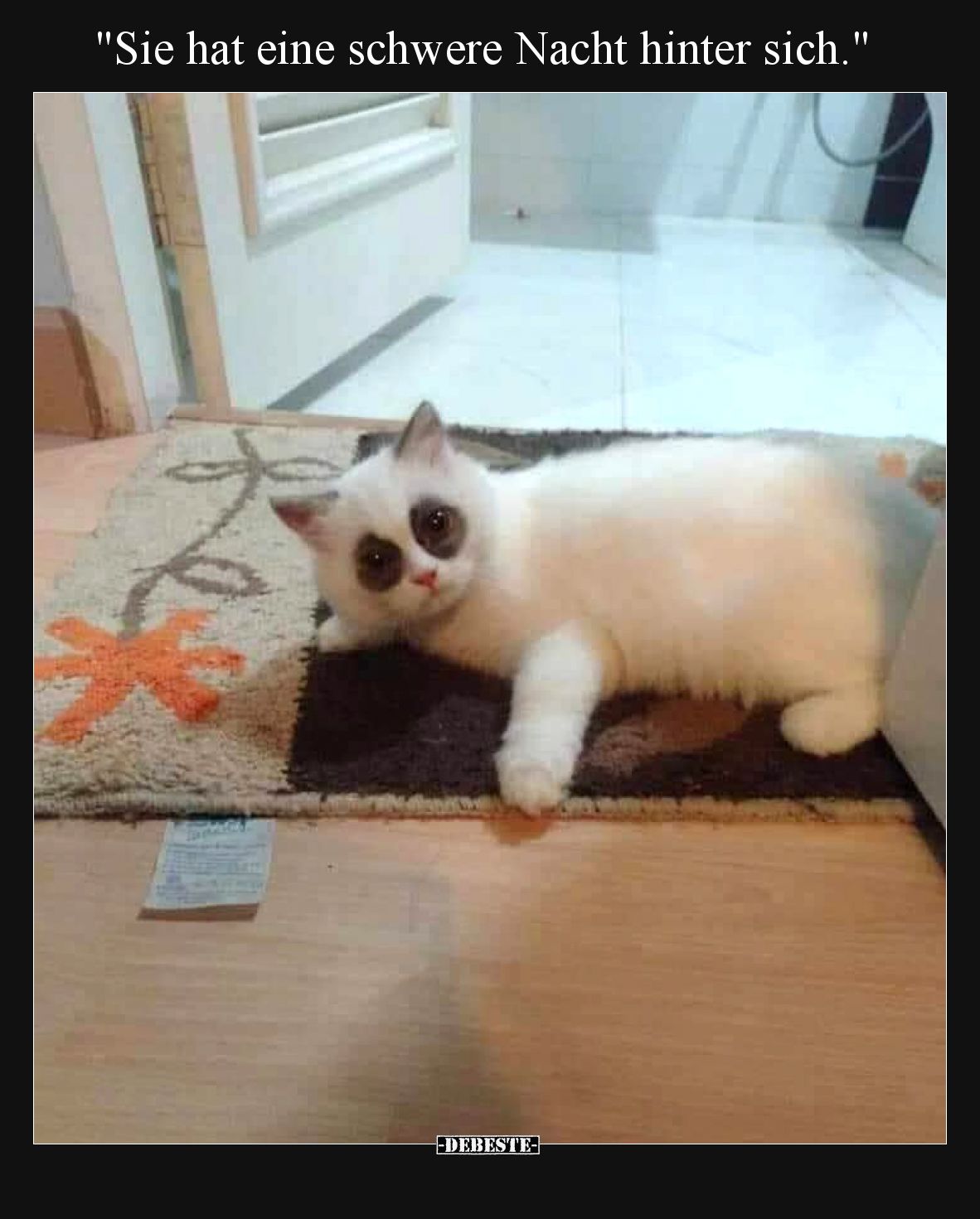 "Sie hat eine schwere Nacht hinter sich.".. - Lustige Bilder | DEBESTE.de