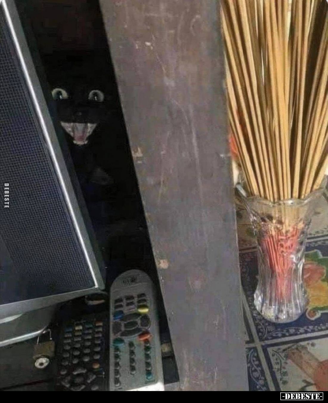  - Lustige Bilder | DEBESTE.de