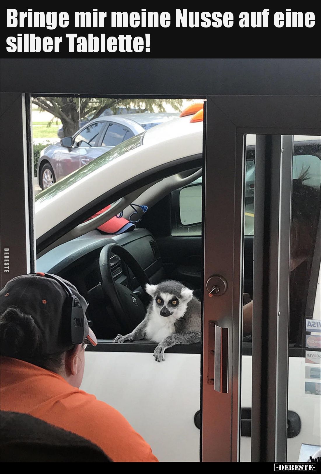 Bringe mir meine Nusse auf eine silber Tablette!..
