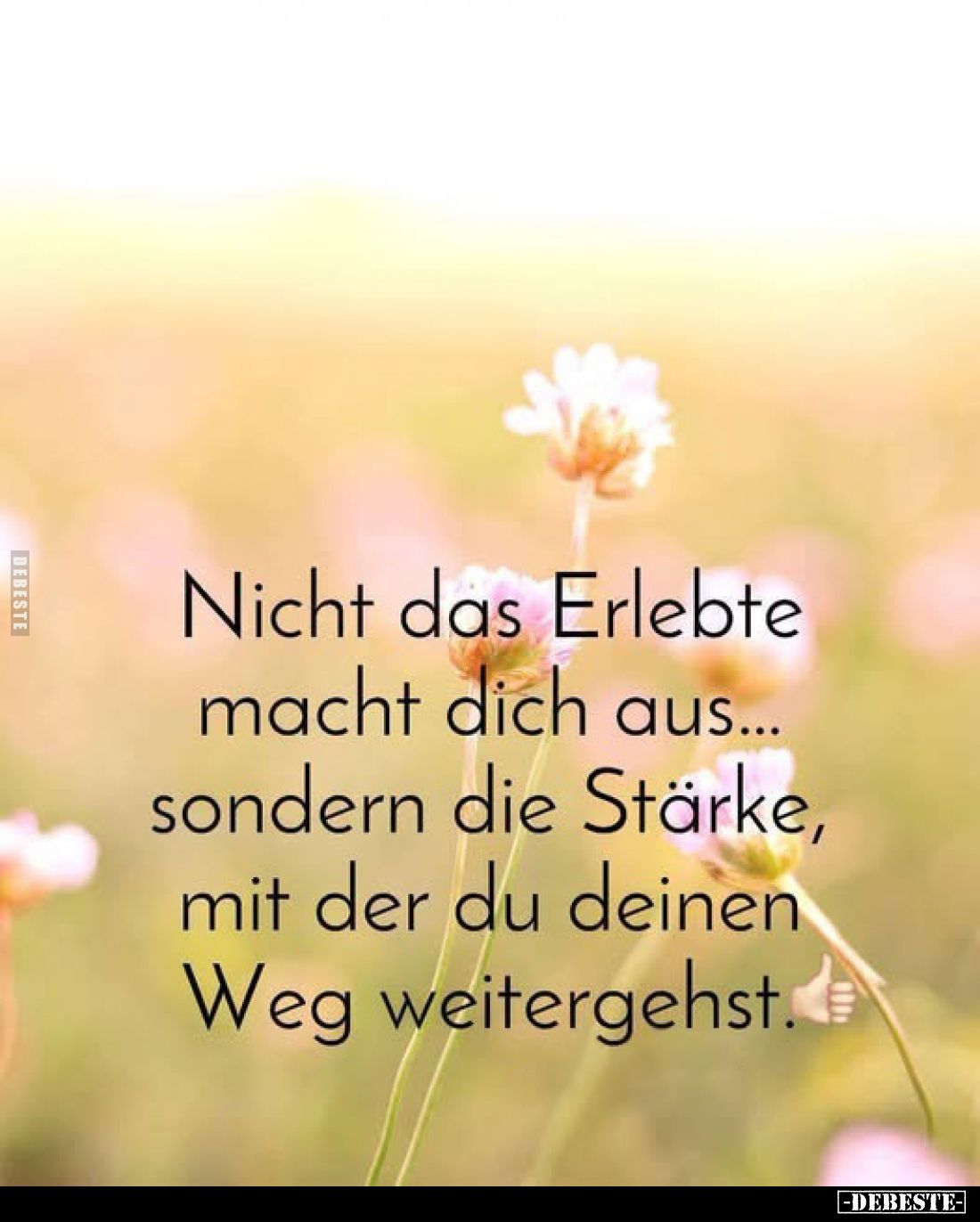 Nicht das Erlebte macht dich aus... sondern die Stärke, mit der du deinen Weg weitergehst.