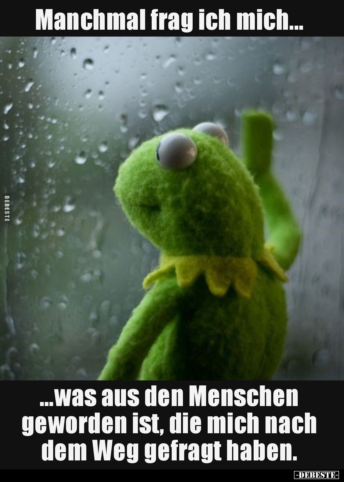 Manchmal frag ich mich... - Lustige Bilder | DEBESTE.de