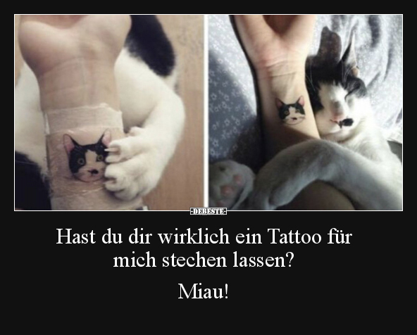 Hast du dir wirklich ein Tattoo für mich stechen lassen?.. - Lustige Bilder | DEBESTE.de