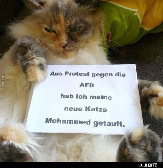 Aus Protest gegen die AFD.. - Lustige Bilder | DEBESTE.de