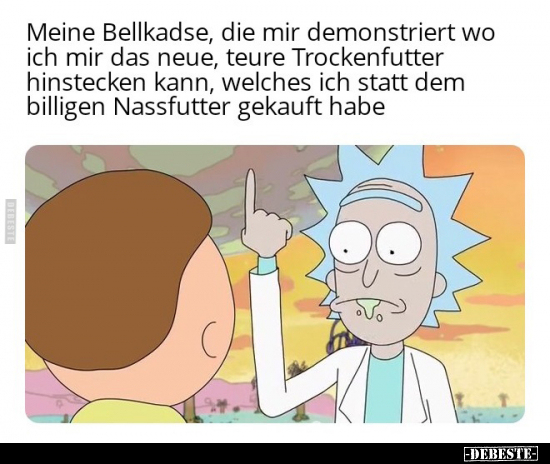 Meine Bellkadse, die mir demonstriert wo ich mir das neue.. - Lustige Bilder | DEBESTE.de