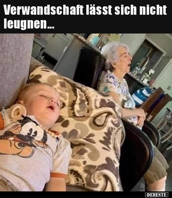 Verwandschaft lässt sich nicht leugnen... - Lustige Bilder | DEBESTE.de