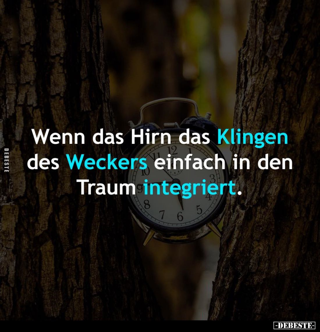 Wenn das Hirn das Klingen des Weckers einfach in den Traum integriert.