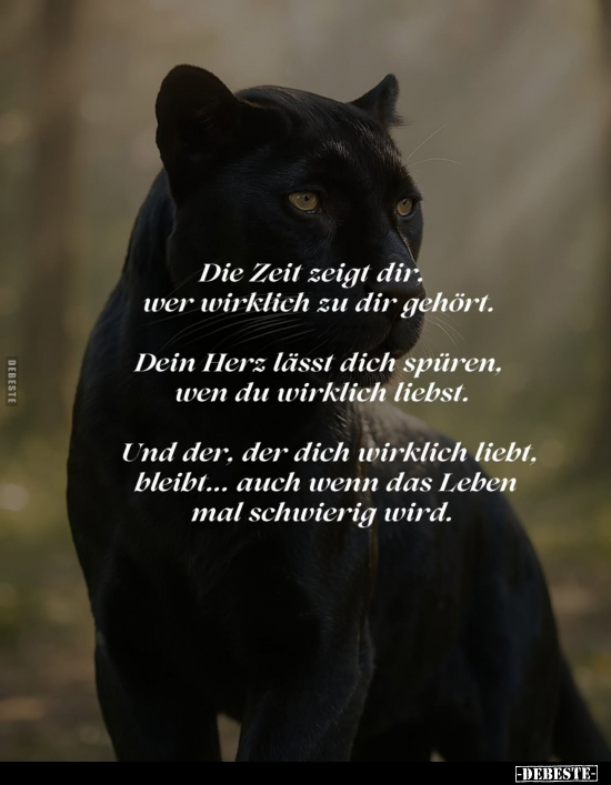 Die Zeit zeigt dir, wer wirklich zu dir gehört. 
Dein Herz lässt dich spüren, wen du wirklich liebst. 
Und der, der dich wi...