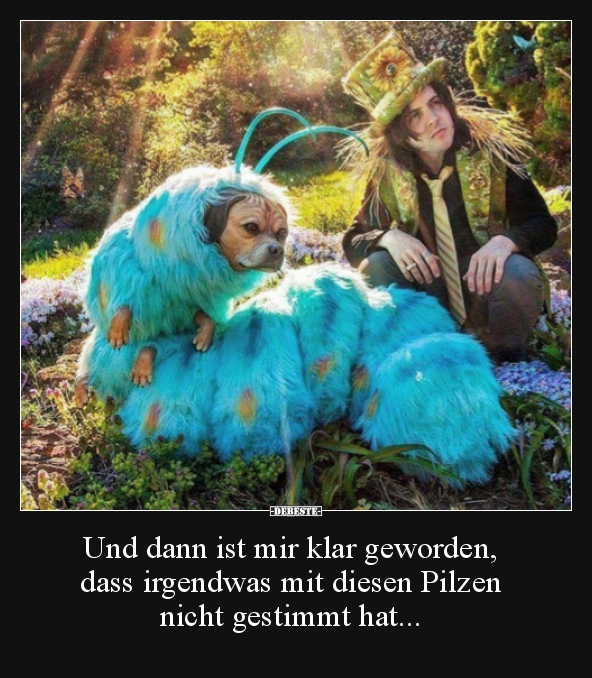 Und dann ist mir klar geworden, dass irgendwas mit diesen..