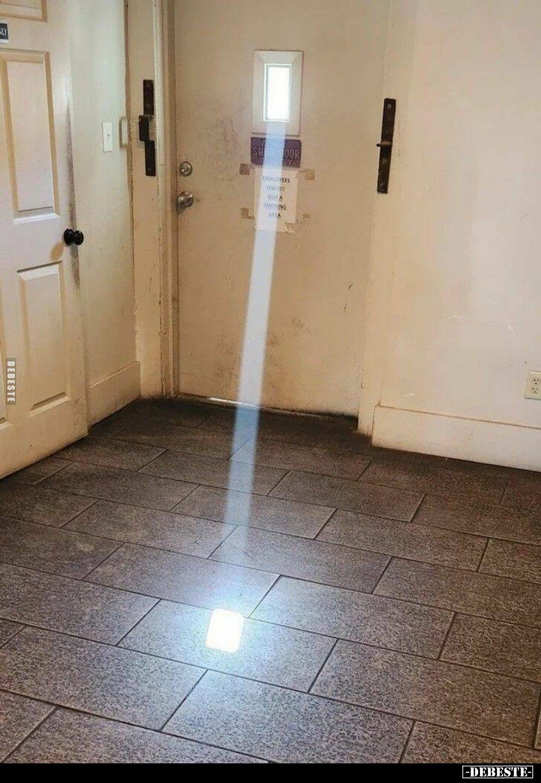  - Lustige Bilder | DEBESTE.de