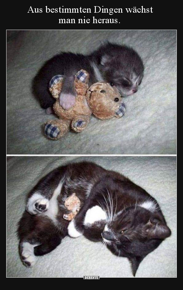 Aus bestimmten Dingen wächst man nie heraus..