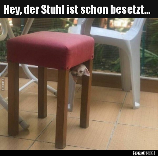 Hey, der Stuhl ist schon besetzt... - Lustige Bilder | DEBESTE.de
