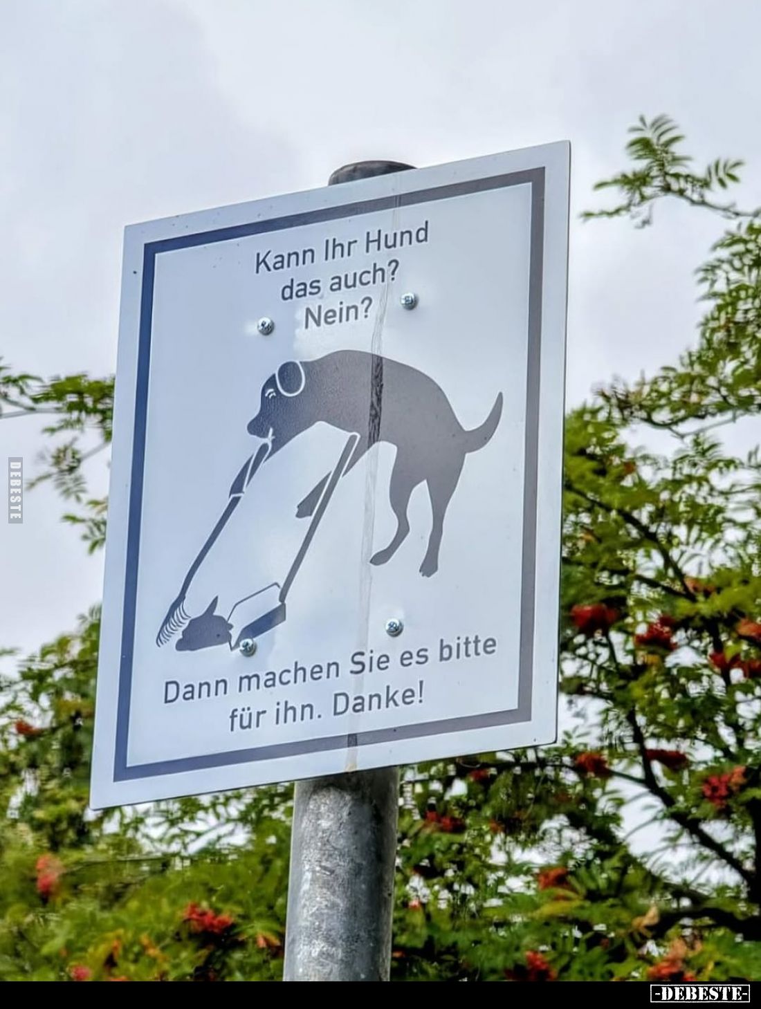 Kann Ihr Hund das auch? Nein?
Dann machen Sie es bitte für ihn. Danke!