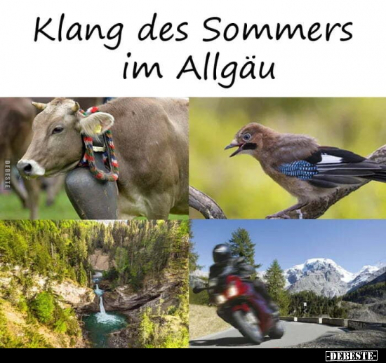 Klang des Sommers im Allgäu.. - Lustige Bilder | DEBESTE.de