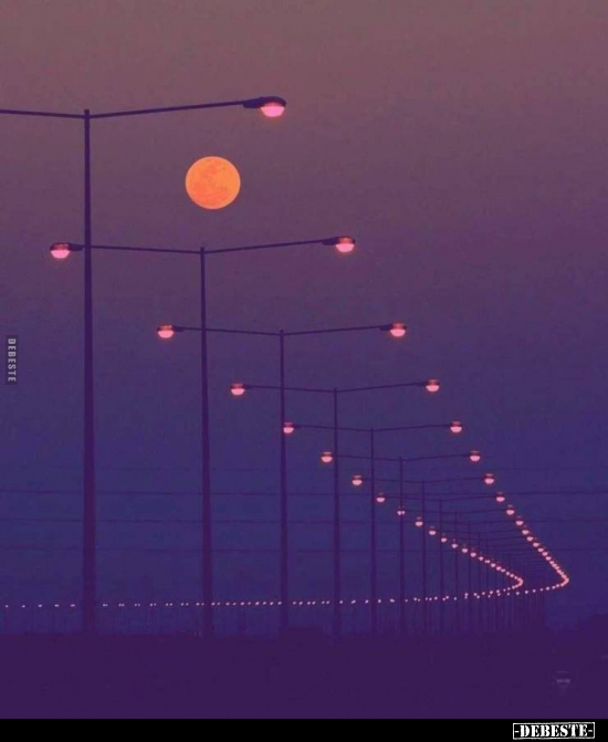  - Lustige Bilder | DEBESTE.de