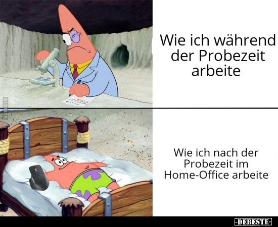 Wie ich während der Probezeit arbeite.. - Lustige Bilder | DEBESTE.de
