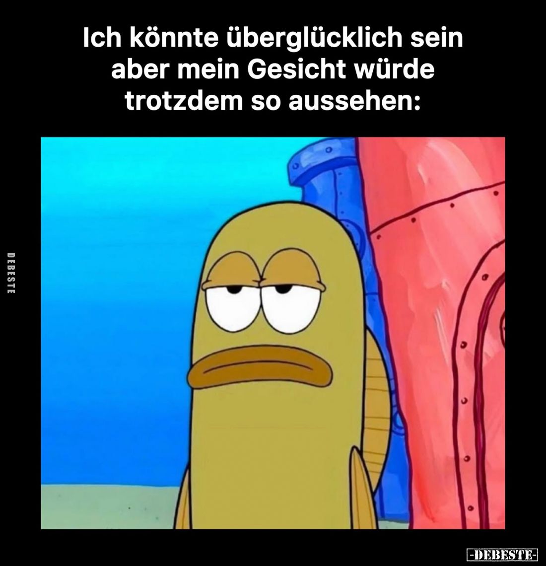 Ich könnte überglücklich sein aber mein Gesicht würde trotzdem so aussehen:
