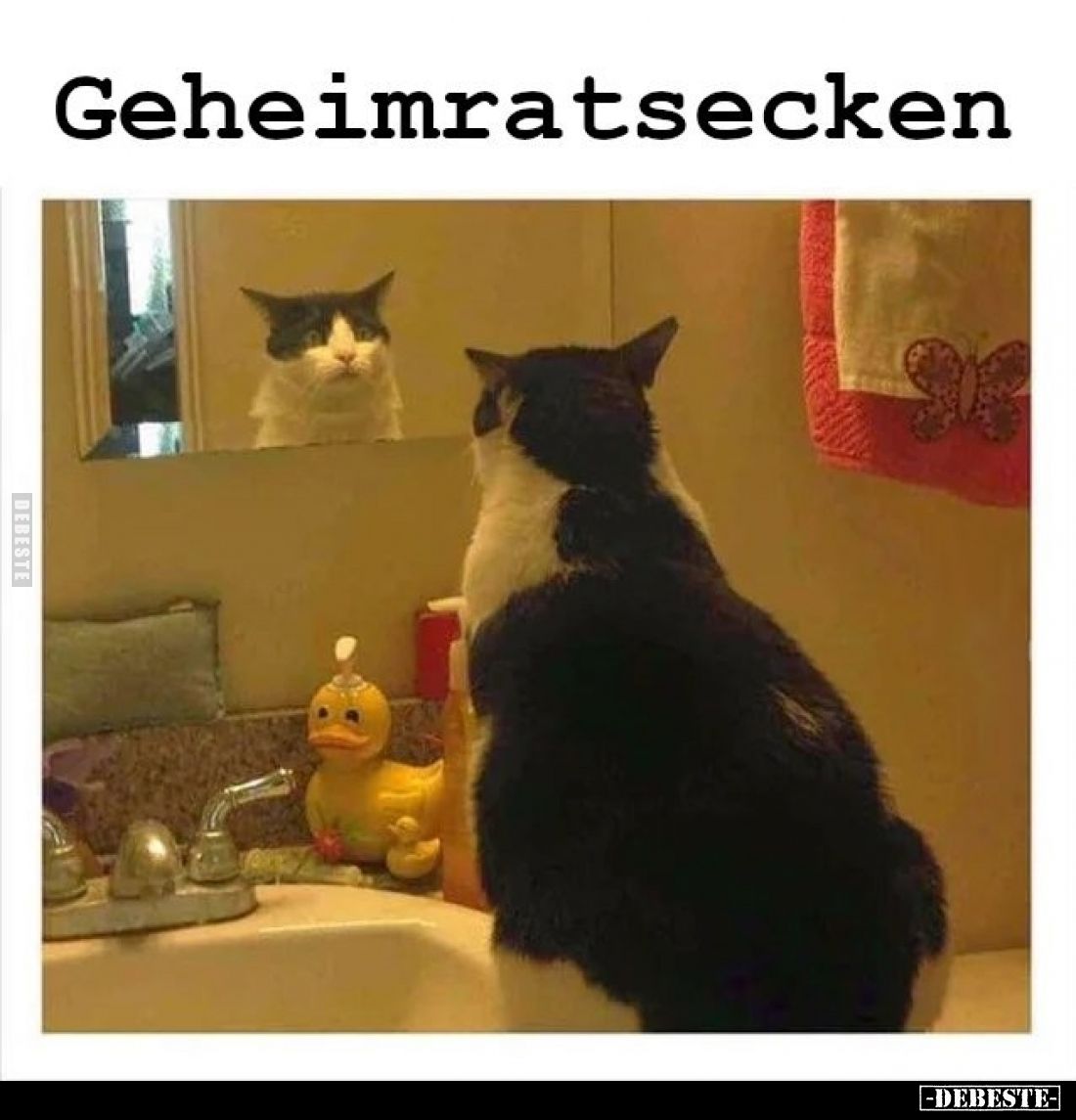 Geheimratsecken