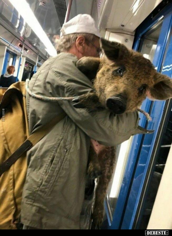  - Lustige Bilder | DEBESTE.de