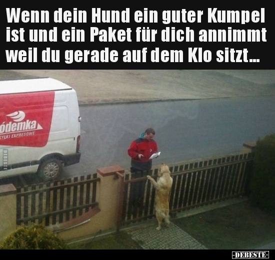 Wenn dein Hund ein guter Kumpel ist und ein Paket für dich..