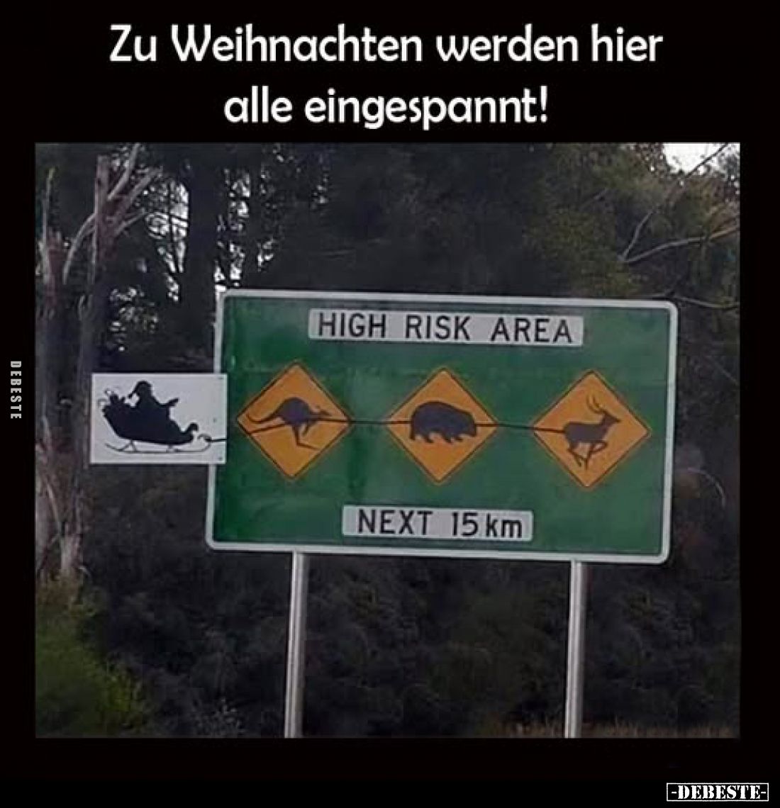 Zu Weihnachten werden hier alle eingespannt!